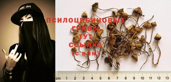 гидропоника Арсеньев