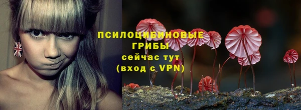 гидропоника Арсеньев